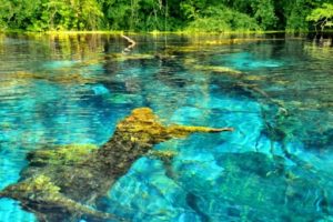 blue-waters-of-the-blue-eye-spring