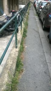 erbacce 3